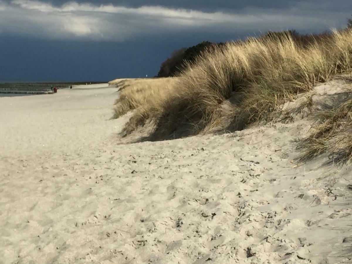 Little Rose Villa Zingst Luaran gambar